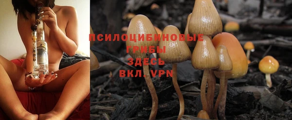 трава Беломорск