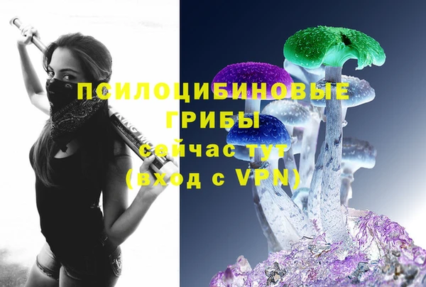 spice Белокуриха